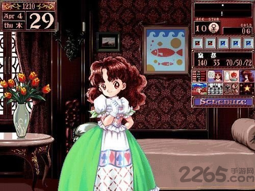 美少女梦工厂2手机版