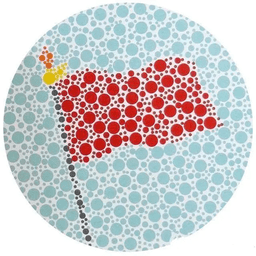 易安色盲检测平台手机版