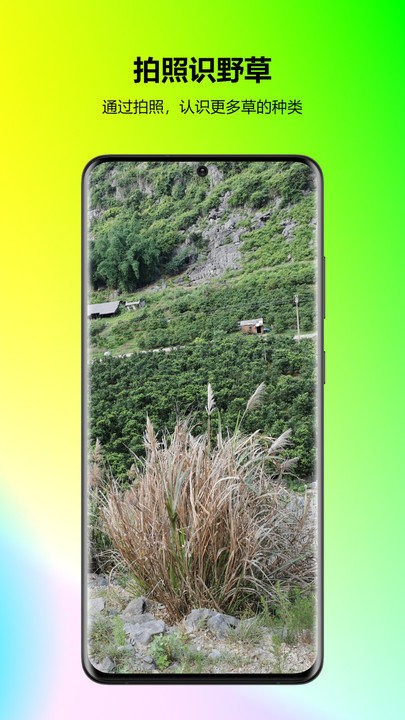 万能拍照识花app