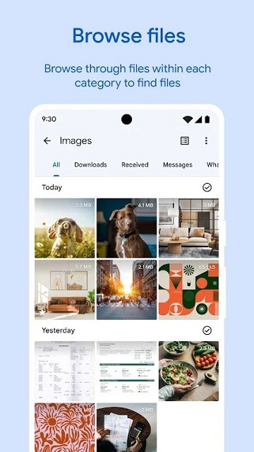 google文件极客最新版(Files by Google)