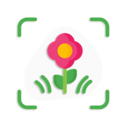 万能拍照识花app