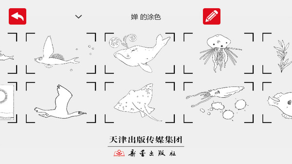 blinkbook画画软件