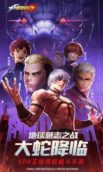 拳皇命运台服