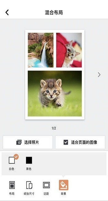 canon selphy photo layout下载