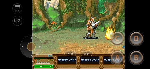 龙与地下城毁灭之塔下载游戏