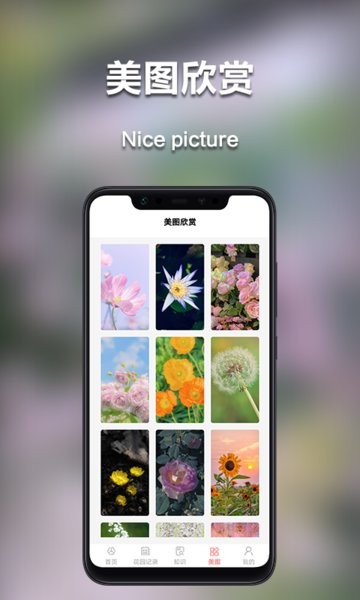 我的花园app 我的花园下载安装手机版