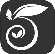 微舞app最新版拉丁