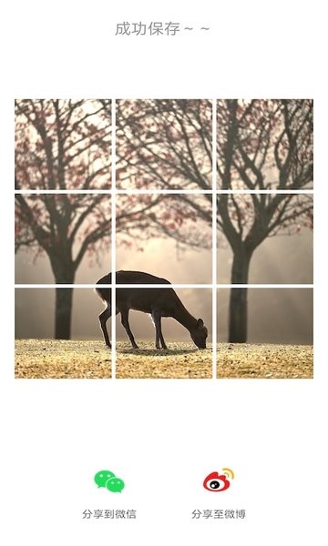 九宫格图片大全免费版