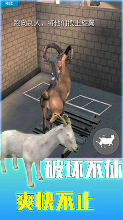 沙雕动物大探险最新版