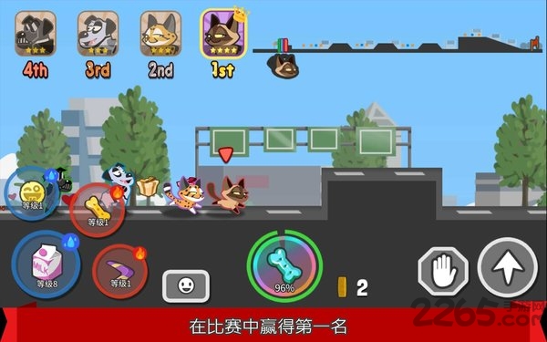 pets race游戏(宠物赛跑)