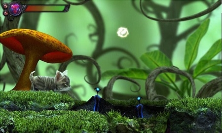 猫咪追寻神秘探险游戏 猫咪追寻神秘探险手机版下载