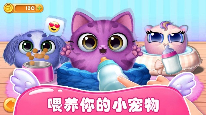 梦幻宠物总动员游戏