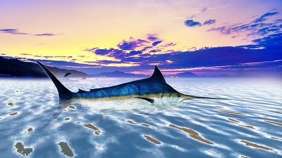 蓝枪鱼模拟游戏