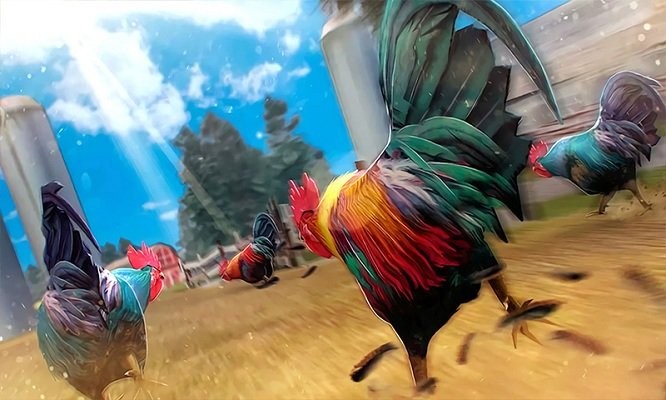 斗鸡模拟器游戏