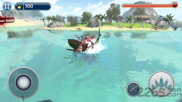 大白鲨的生活游戏