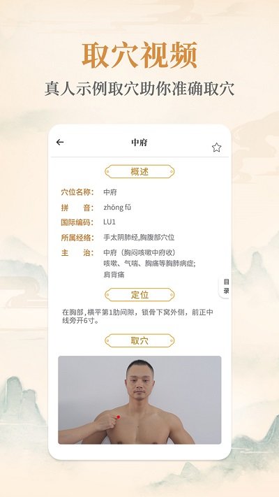 经络穴位手机版