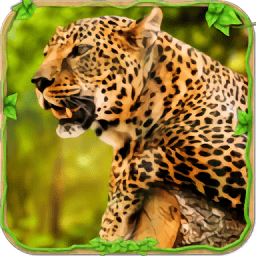 金钱豹模拟器手游