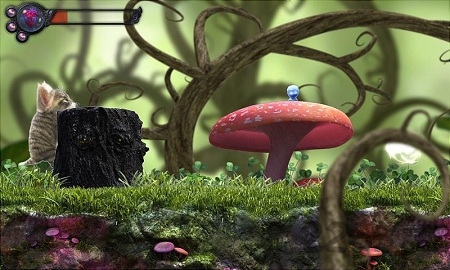 猫咪追寻神秘探险游戏