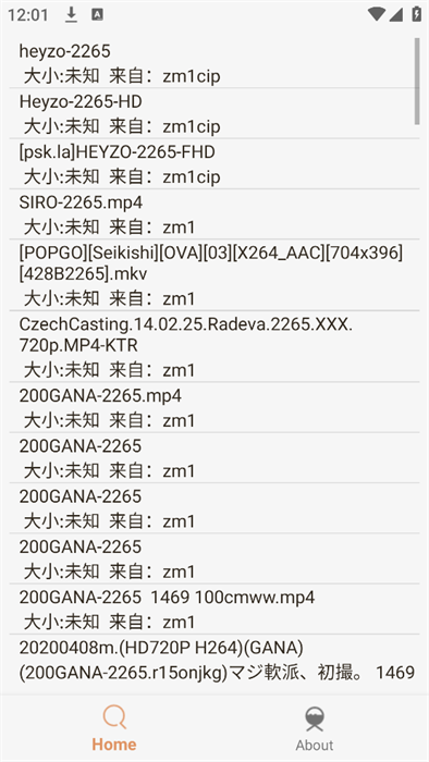 飞土搜磁力搜索工具