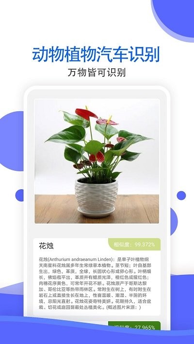 万能拍照识别免费版软件