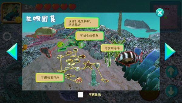 鲨鱼风暴海底大猎杀游戏