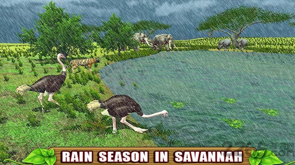 愤怒的鸵鸟模拟器游戏