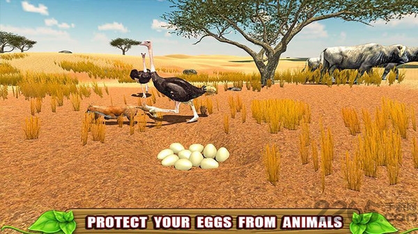 愤怒的鸵鸟模拟器游戏