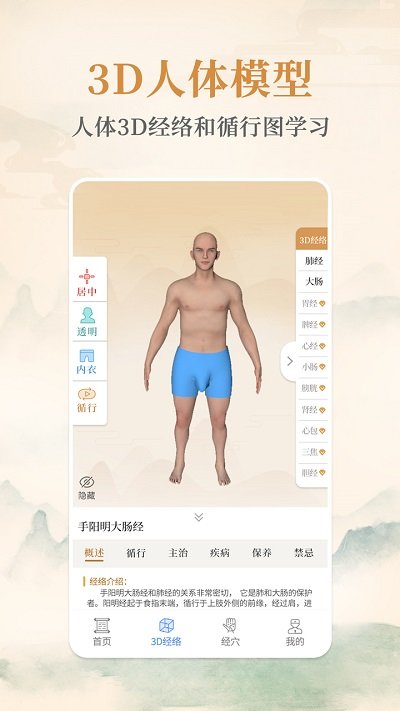 经络穴位手机版