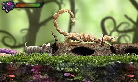 猫咪追寻神秘探险游戏