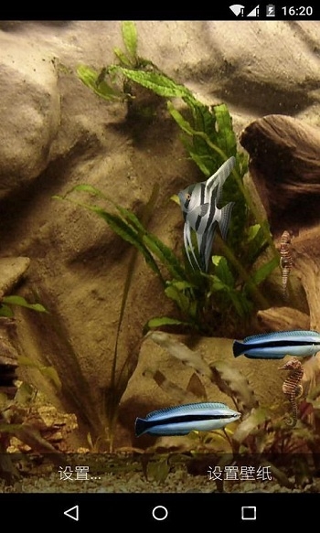 动态水族壁纸软件下载
