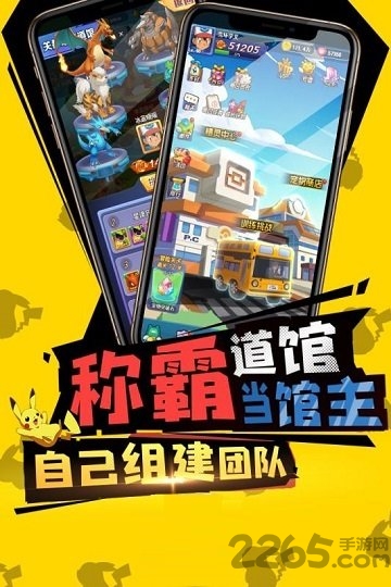 宝可梦探险队dx中文版