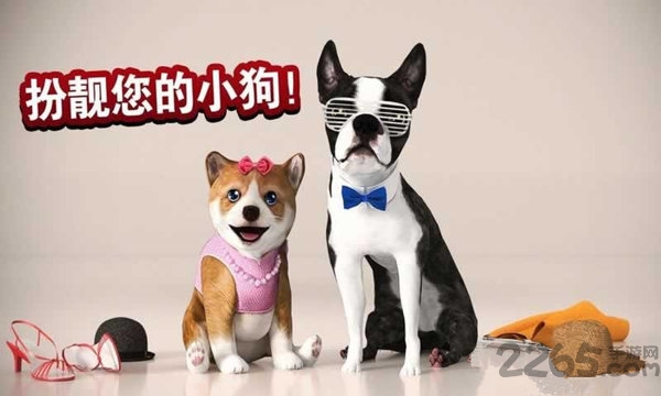 天天小狗官方版