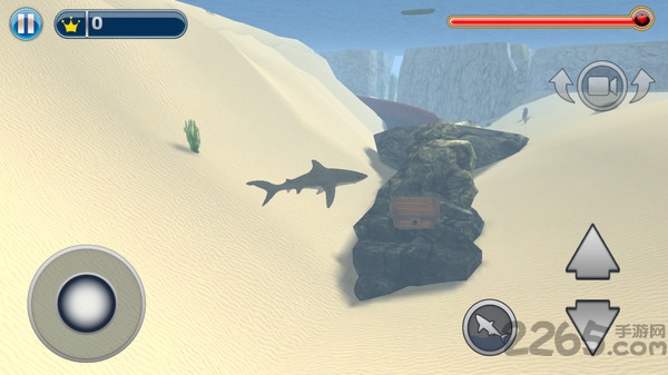 大白鲨的生活游戏