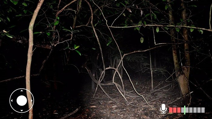 永远不要尖叫游戏(Never Scream)