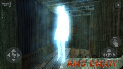 灵魂的影子中文版