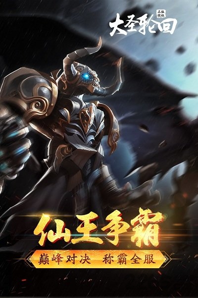 49游戏大圣轮回