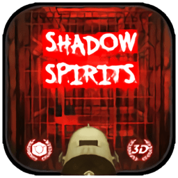 灵魂的影子中文版