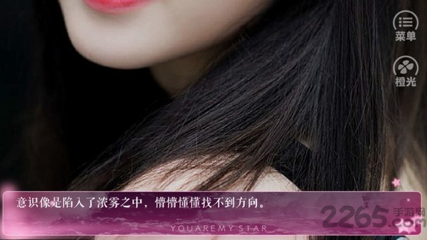 橙光exo重生之我爸是黑道老大无限鲜花版