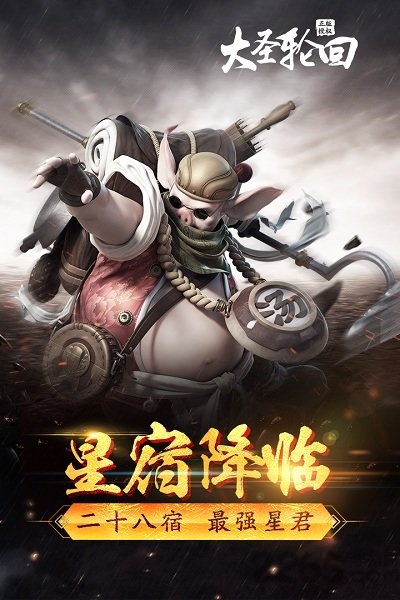 49游戏大圣轮回