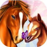 马儿天堂我的梦想牧场汉化版