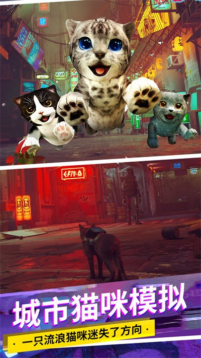 猫咪城市模拟手机版