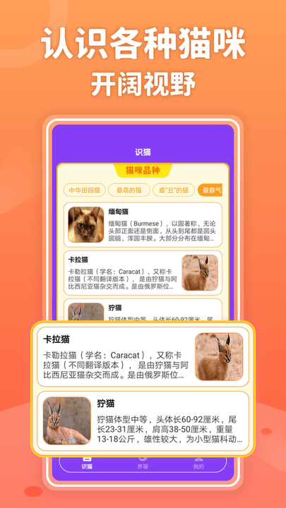 嗨猫猫app下载