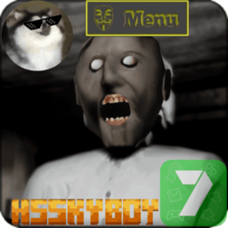 恐怖奶奶双菜单版本游戏