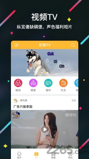 泛见志手机版