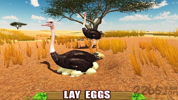 愤怒的鸵鸟模拟器游戏 愤怒的鸵鸟模拟器手机版下载