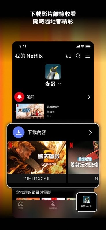 netflix安卓app