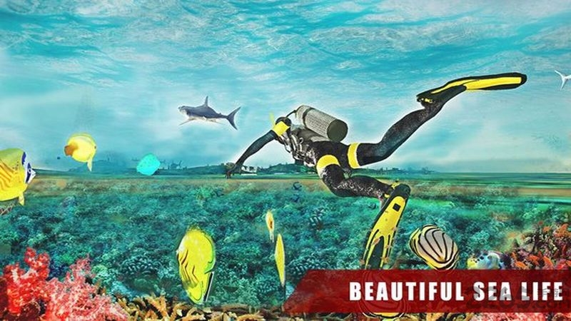 大白鲨游戏手机版