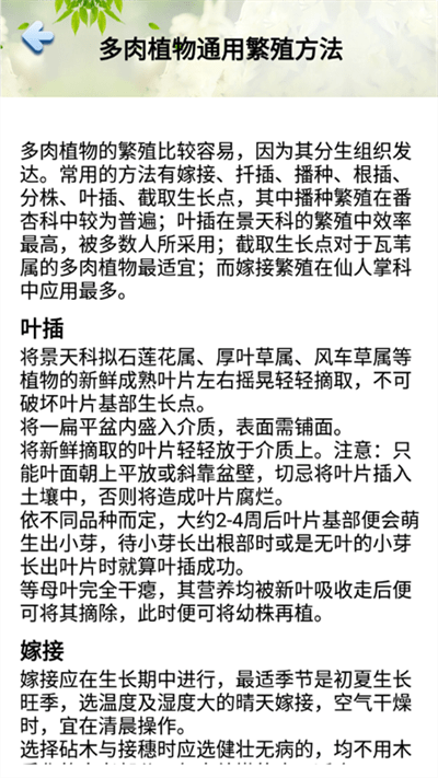 小墨多肉日记app